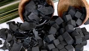 Coconut Shell Charcoal from BF GLOBAL TRADING (PTY) LTD Coconut Shell Charcoal - BF GLOBAL TRADING (PTY) LTD - South Africa