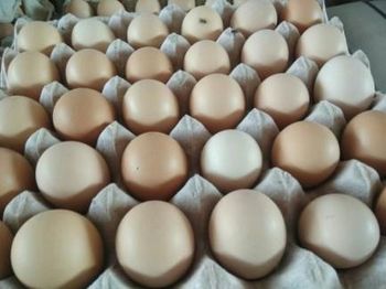Table eggs, grade A, M/L sizes, white/brown colour Size L, M Organic No Egg Grade A Egg Size M/l Color Brown, White Animal Species Chicken - Phoenix GI - Poland