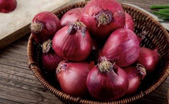 Red Onion from AVANCE FOR IMPORT AND EXPORT Red Onion - AVANCE FOR IMPORT AND EXPORT - Ukraine