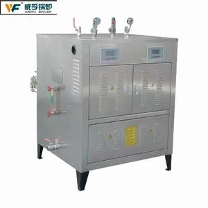 High-Efficiency Condensing Water Boiler for Eco-Friendly Heating Systems - Jiangsu Weifu Special Equipment Co., Ltd. - China