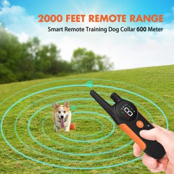 Electric Dog Training Collar Waterproof Rechargeable Remote Control Pet for All Size Bark-Stop Collars - Dongguan Inchol Pet Products Co., Ltd. - China