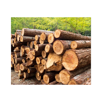 Bulk Timber wood available wholesale offers strong quality stock quick shipping service - BMU TRADING GMBH - Germany