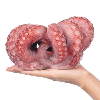 Frozen Fresh Octopus Premium Seafood Selection With Tender Texture And High Protein Content For International Buyers - TOSOH INTERNATIONAL - South Africa