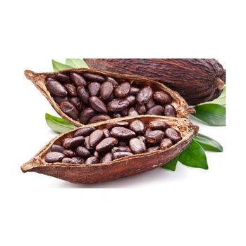 Quality Dried Cacao Beans / Cocoa- Beans from CALIPSO POLSKA SP Z OO Quality Dried Cacao Beans / Cocoa- Beans - CALIPSO POLSKA SP Z OO - Poland
