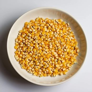Export Quality Yellow Corn Maize Natural Dry Corn Kernels for Poultry Feed Livestock Feed and Food Industry - agroturaspzoo - Poland