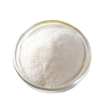 Casein Food Grade Health Supplement Casein Protein Powder Wholesale Bulk Cas No 9000-71-9 - Duter Co., Ltd. - China