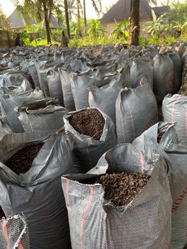 Palm kernel shell - Dignity - Nigeria