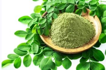 MORINGA POWDER - PREMIUM GRADE|EXPORT QUALITY from Buddha Overseas MORINGA POWDER - PREMIUM GRADE|EXPORT QUALITY – product photo, Dried Moringa Powder products found from trusted suppliers, wholesalers, manufacturers & exporters Listing