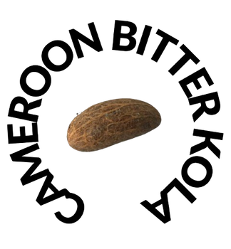 Bitter Kola from CAMEROON BITTER KOLA Bitter Kola – product photo, Bitter Kola Nut products found from trusted suppliers, wholesalers, manufacturers & exporters Listing