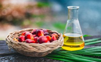 REFINED BLEACHED DEODORIZED (RBD) PALM KERNEL OIL from malter group REFINED BLEACHED DEODORIZED (RBD) PALM KERNEL OIL - malter group - Tanzania