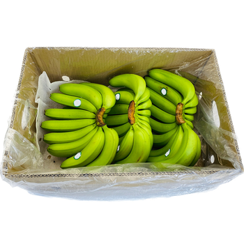 VIETNAM CAVENDISH Tropical Banana- Wholesale banana fresh /dried /Frozen Bananas from MIGHTY ASIA COMPANY LIMITED VIETNAM CAVENDISH Tropical Banana- Wholesale banana fresh /dried /Frozen Bananas - MIGHTY ASIA COMPANY LIMITED - Vietnam
