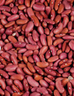 Cheap Wholesale Top Quality White Kidney Beans in Bulk White Kidney.Buy Black Kidney Beans / Black Beans Best Price, Black Kidney - Almaa SCS - Belgium
