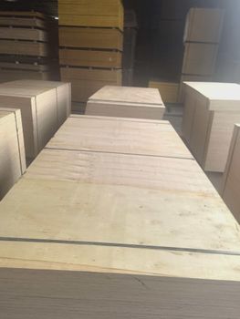 plywood for packaging,furniture and formwork - 2016 - China