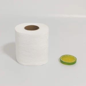 Custom Embossed Toilet Paper Roll 50-100g 90g White Virgin Wood Pulp 10cm 10cm 4cm 1Y - Baoding Clean & Soft Paper Product Technology Co., Ltd. - China