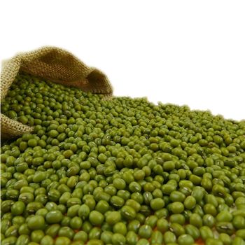 Green Gram Vigna Green Beans Mung Beans Green Moong - Hebei Nihewan Agricultural Development Co., Ltd. - China