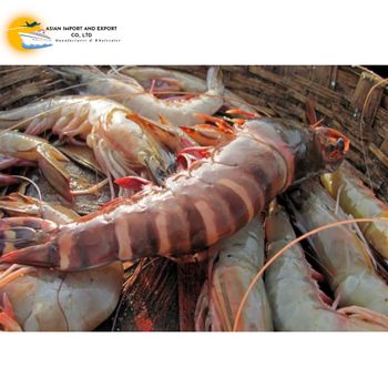 Frozen Lobster / Frozen Lobster Tail / Fresh Live high quality seafood frozen shrimp from bangladeshi supplier - ASIAN IMPORT AND EXPORT CO. - Bangladesh