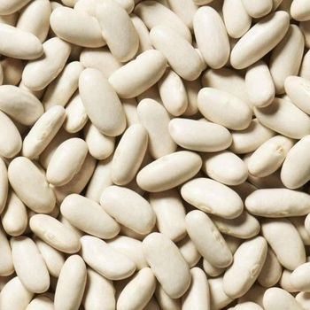 White Kidney Beans Selected For Global Import Markets Offering Superior Bean Uniformity And Competitive Supply - TOSOH INTERNATIONAL - South Africa