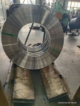 High Hardness Normalized 51CRV4 50crva Steel Strip for Quenching and Tempering Treatment - Jiangxi Rongchengjie Special Materials Co., Ltd. - China
