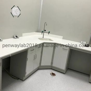 Chemical Cabinet Metal Furniture Medical Furniture Other Furniture - Guangzhou Penway Lab Equipment Co., Ltd. - China