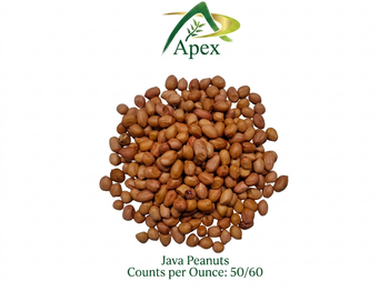 Java Peanut 5060, Java Peanut 50 60, Java Peanut 50/60, Peanut, Peanuts, Arachis hypogaea, Java Peanut, Java Peanut Kernels, Blanched Peanut, Indian Java Peanut, Indian Blanched Peanut, Peanuts Java Kernels, Peanuts Kernels, Peanut With Shell, Peanuts, Indian Peanuts, Java Peanuts Java Peanut Supplier From India. from APEX INTERNATIONAL Java Peanut 5060, Java Peanut 50 60, Java Peanut 50/60, Peanut, Peanuts, Arachis hypogaea, Java Peanut, Java Peanut Kernels, Blanched Peanut, Indian Java Peanut, Indian Blanched Peanut, Peanuts Java Kernels, Peanuts Kernels, Peanut With Shell, Peanuts, Indian Peanuts, Java Peanuts Java Peanut Supplier From India. - APEX INTERNATIONAL - India