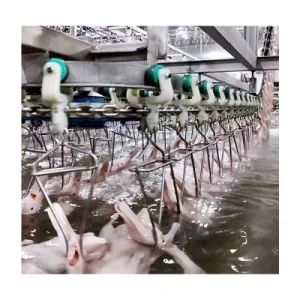 High Quality Automatic Poultry Slaughtering House Equipment Processing Line for Butcher Machine - Shandong Xindaxin Food Industrial Equipment Co., Ltd. - China