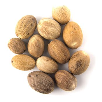Dried Nutmeg Whole Nuts Nutmeg High Potency Natural Spice With Strong Fragrance And Attractive Appearance - THE GREEN INTERNATIONAL LIMITED - Tanzania