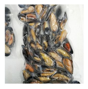 High Quality Frozen Seafood Musses With Shell / Mussels Meat Available For Sale At Low Price - Exigentelaxia Unipessoal Lda - Portugal