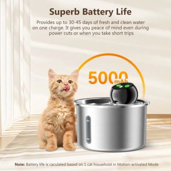 Durable Stainless Steel Pet Water Dispenser for All Breeds - Shenzhen Joylife Technology Co., Ltd - China