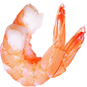 Frozen Fresh Red Shrimps Export Ready Seafood Offering Fresh Texture And Quality Assurance For Bulk Purchasing - TOSOH INTERNATIONAL - South Africa