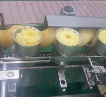 Canned Pineapple Original Vietnam - 20 Oz/ 30Oz Type Slice/ broken Technique Retorting Shelf Life 2 - 3 years Place of Origin - VIETEX AGRI  TRADING CO  LTD - Vietnam