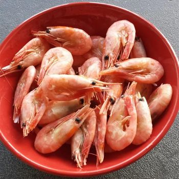 Frozen Red Shrimp Premium IQF Wild Caught Sweet Taste High Quality Export Seafood for Wholesale - PILOTEXPORT IMPORT AND EXPORT LTD - South Africa