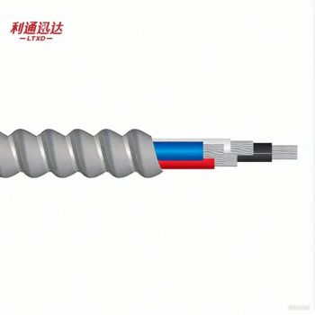 Ltxd AC90 Copper Aluminum Conductor Armoured Cables 600V CSA Electrical Wires for Wet - HEBEI LITONG CABLE CO.,LTD - China