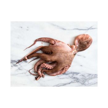 Wholesale Frozen Whole Octopus bulk supply affordable price fresh frozen catch - Medcompex Gmbh - United Kingdom