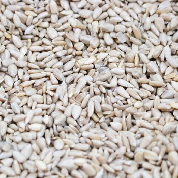Golden Sunflower Seed Selected For Nutritional Applications Featuring Fresh Harvest Quality And Clean Appearance - TOSOH INTERNATIONAL - South Africa