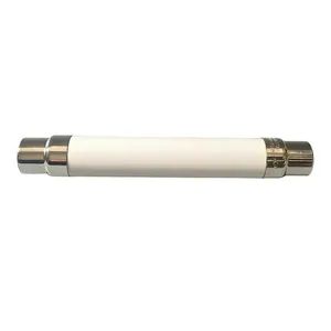 PT Current-Limiting Fuses Voltage Transformer HRC Cylinder Fuse - Shengsu Electric Co., Ltd. - China