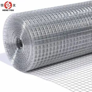 Fine-Mesh Galvanized Welded Wire Mesh for Window Screens - ANPING COUNTY HUAXING WIRE MESH CO., LTD. - China