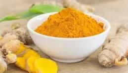 Bulk Export Grade Indian Spices - 100% Pure Natural Turmeric Powder & Whole Spices - Sameetha International Exports & Imports - India