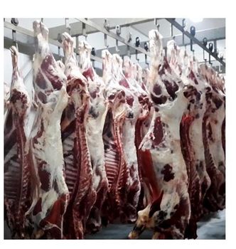 FRESH FROZEN GOAT/ MUTTON MEAT/ LAMB MEAT CARCASS Grade A Texture Tender Flavor Flavorful Max. Moisture (%) 5 Freeze Temperature -18°c -  CALIPSO POLSKA SP Z OO  - Poland