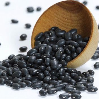 Food Processing Quality Black Bean For Bulk Import Demand Reliable Black Bean Supply For Food Ingredient Distribution - THE GREEN INTERNATIONAL LIMITED - Tanzania