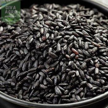 Kobe Instant Rice Mixed Seasoning -  Theobromindo Cipta Karya  - Indonesia