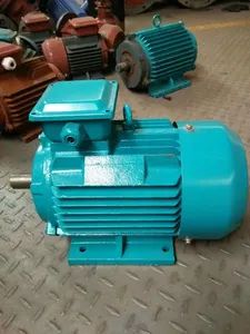 High-Performance AC Induction Motor with Class F Insulation - Shanghai Semhai Pump Co., Ltd. - China