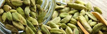 Indian Green Cardamom – Bold Pods – Export Quality Grade Premium Foreign Matter Nil Pod Size Bold Pods Color Natural Green - M.ALI EXPORTS PRIVATE LIMITED - India