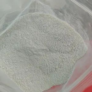 Advanced Waterproofing Powdered SBR for Membrane Construction Needs - Donghongyue (Shandong) International Trade Co., Ltd - China