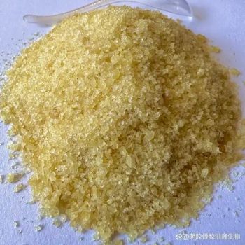 Halal Bovin Bone Gelatin Powder for Pastilles, Caramels, Toffees, Licorice - Dalian Eastland International Trading Co., Ltd. - China