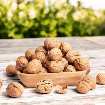 Premium Fresh Walnuts Bulk Supply Natural Healthy Snack Wholesale Perfect for Baking Cooking and Food Processing - PILOTEXPORT IMPORT AND EXPORT LTD - South Africa