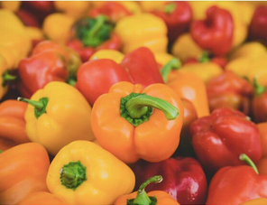 African Top Grade Fresh Sweet Peppers offered in bulk, ensuring freshness, vibrant color, and long shelf life for buyers. - Almaa SCS - Belgium