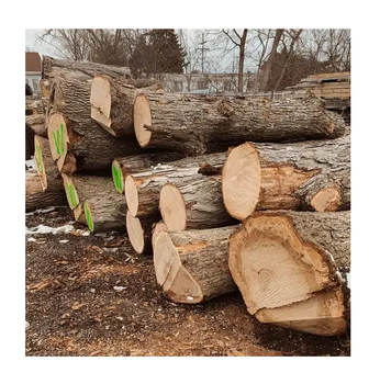 Premium Quality Wholesale Supplier Of White Oak Timber LOGS | Oak Wood Round Logs For Sale from Exigentelaxia Unipessoal Lda Premium Quality Wholesale Supplier Of White Oak Timber LOGS | Oak Wood Round Logs For Sale - Exigentelaxia Unipessoal Lda - Portugal