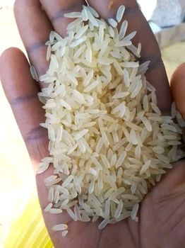 IR 64 Origin India Product Type Rice - Africa & Meddle East - United Arab Emirates
