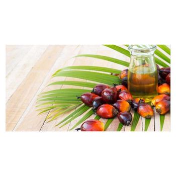 Refined CP66 CP8 CP10 Palm Cooking Oil With Cheap Price - EOSAT Edible Oil South Asia Trade - Thailand