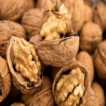 High Quality Walnuts Fresh Walnut Kernels Clean Whole Nuts Rich Nutrition Omega 3 And Fiber Perfect For Healthy Snacking And Food Use Buy Today Fast Delivery Premium Quality Wholesale - wood traders - Poland
